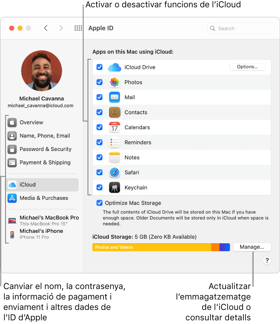 Tauler de preferències iCloud amb totes les funcions seleccionades.
