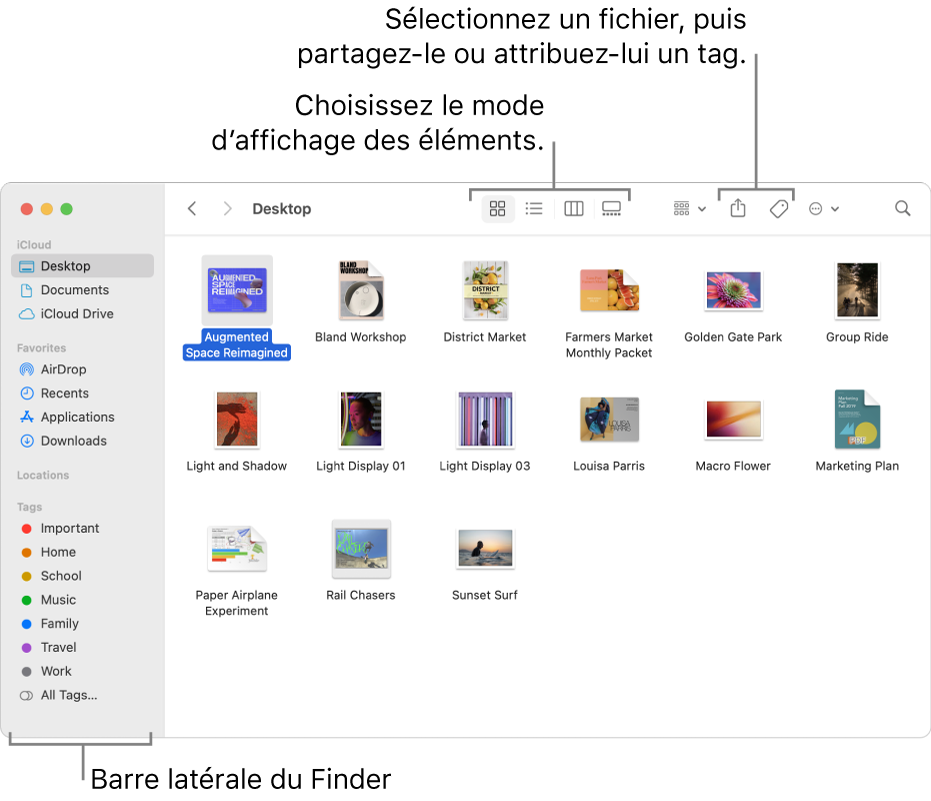 Une fenêtre du Finder avec la barre latérale du Finder sur la gauche. En haut de la fenêtre se trouvent quatre boutons qui modifient la présentation des éléments dans la fenêtre, ainsi que des boutons supplémentaires pour les organiser et les partager.