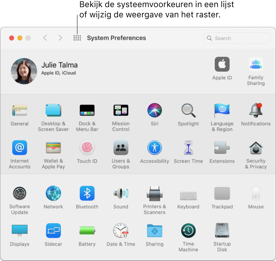 Het venster 'Systeemvoorkeuren' met het raster met symbolen. Klik op de knop 'Toon alles' in de knoppenbalk van het venster om de systeemvoorkeuren in een lijst weer te geven, of om de weergave van het raster te wijzigen.