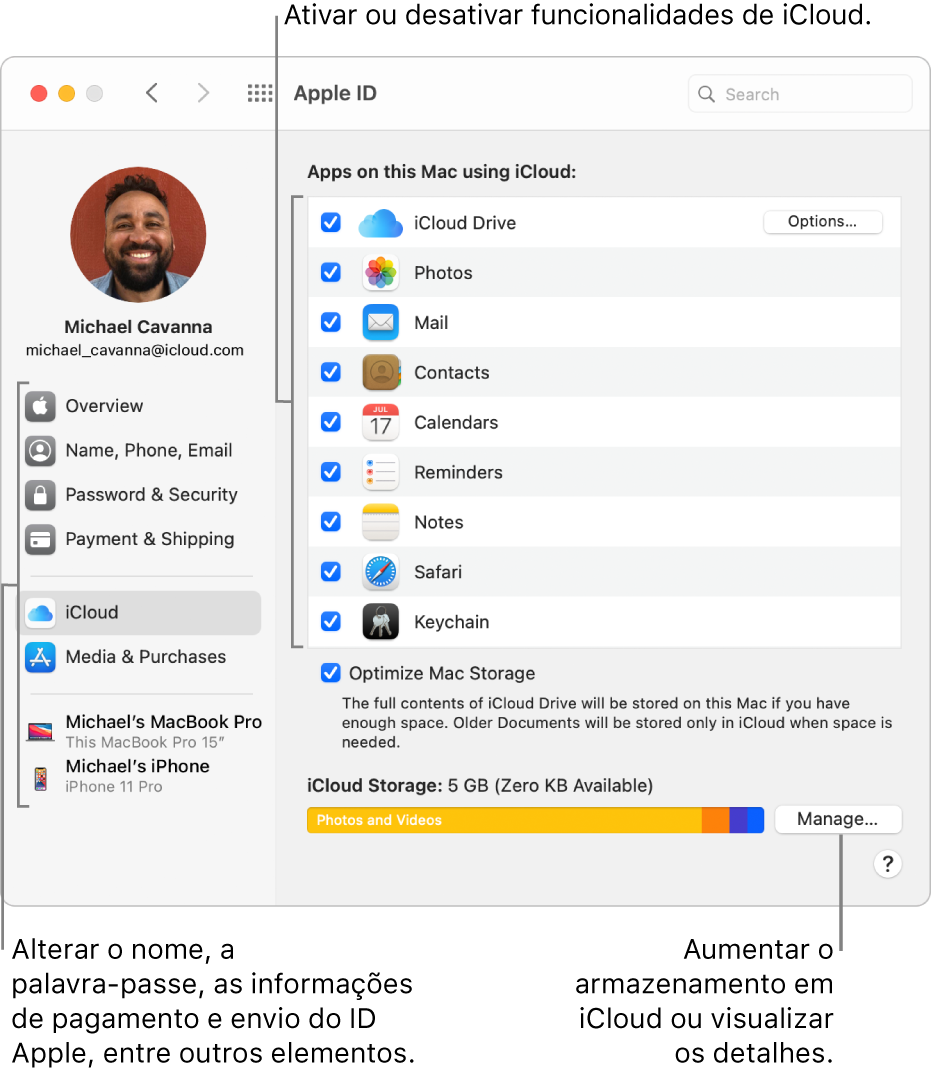 As preferências de iCloud com todas as funcionalidades selecionadas.