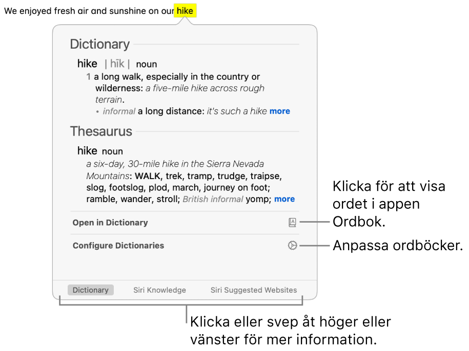 Fönstret Slå upp med definitioner för ett ord från Ordbok och Synonymordbok.