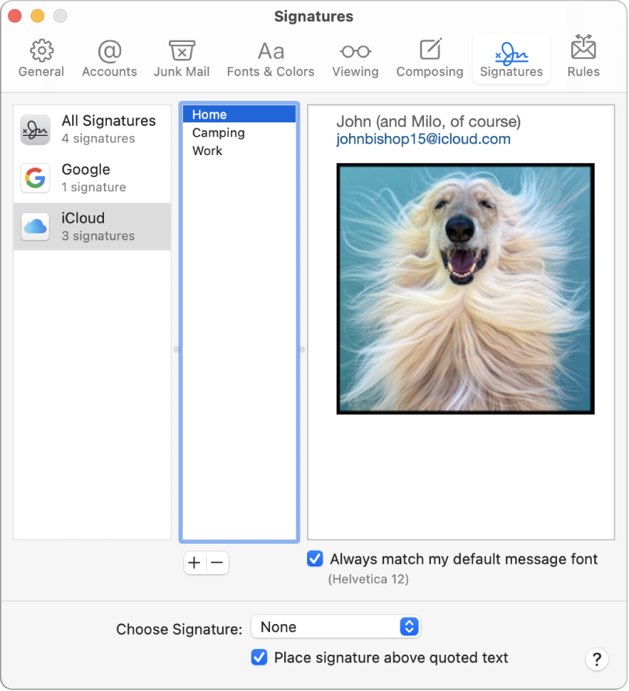 Il pannello delle preferenze Firme di Mail che mostra una firma contenente del testo formattato e un'immagine.