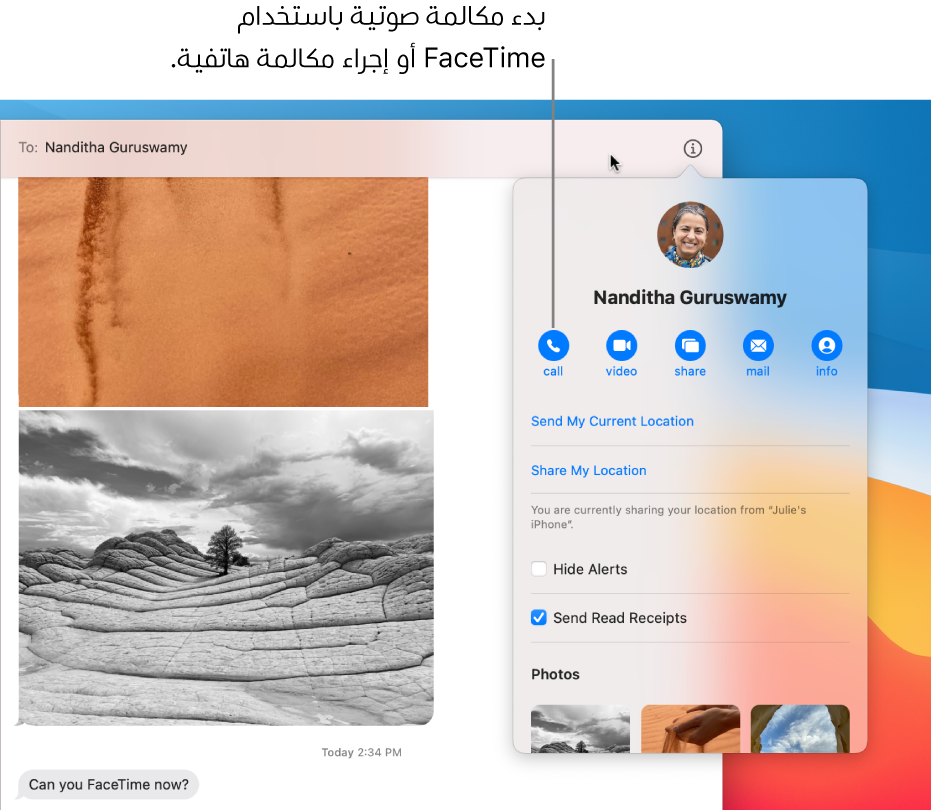 عرض التفاصيل، الذي يظهر بعد النقر على زر التفاصيل في محادثة. استخدم زر الاتصال الموجود على اليمين لبدء مكالمة صوتية باستخدام FaceTime أو لإجراء مكالمة هاتفية.