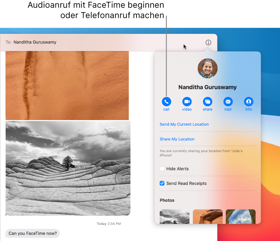 Darstellung „Details“; sie wird angezeigt, wenn du in einer Konversation auf die Taste „Details“ klickst. Verwende die Anruftaste auf der linken Seite, um einen Audioanruf mit FaceTime zu starten oder einen Telefonanruf zu tätigen.
