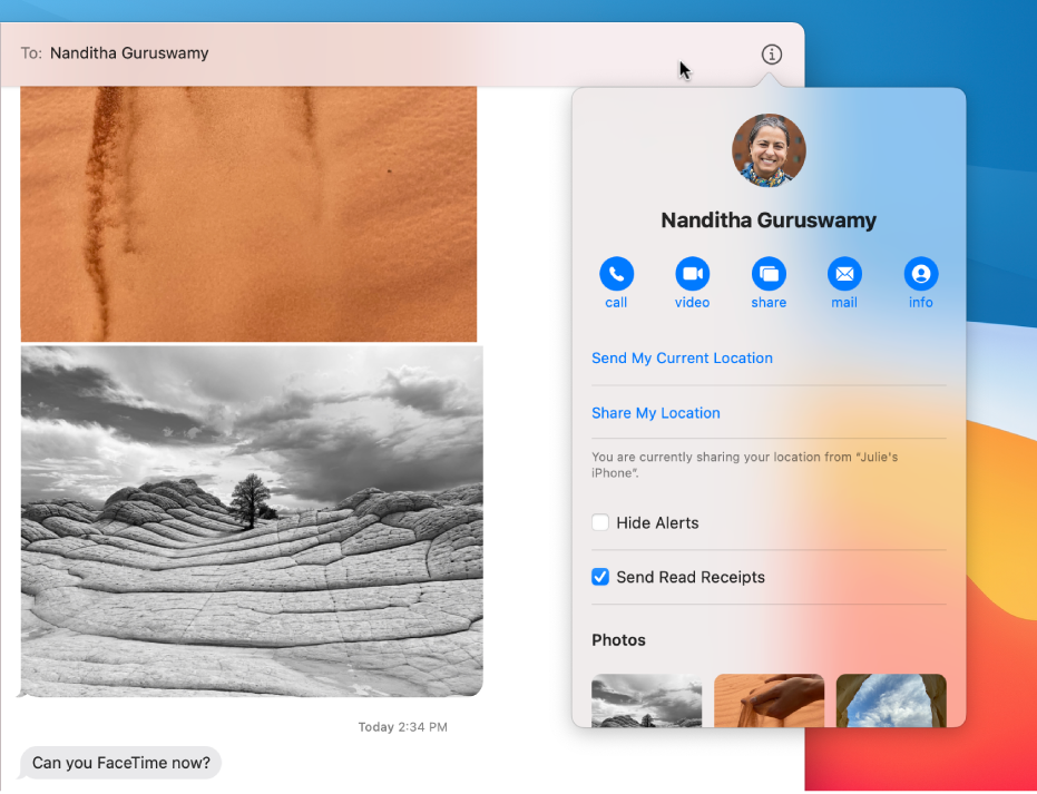 Details view, with the call, video and screen sharing buttons under your friend’s name.