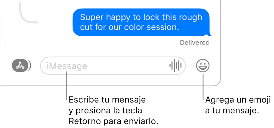 Una conversación en la ventana de Mensajes con el campo de texto situado en la parte inferior de la ventana.