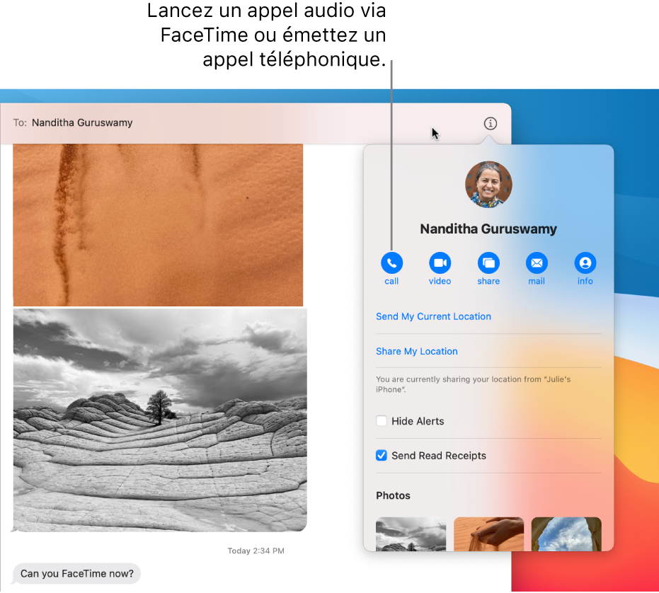 La vue Détails, qui s’affiche après que vous avez cliqué sur le bouton Détails dans une conversation. Utilisez le bouton d’appel à gauche pour démarrer un appel audio avec FaceTime ou passer un appel.