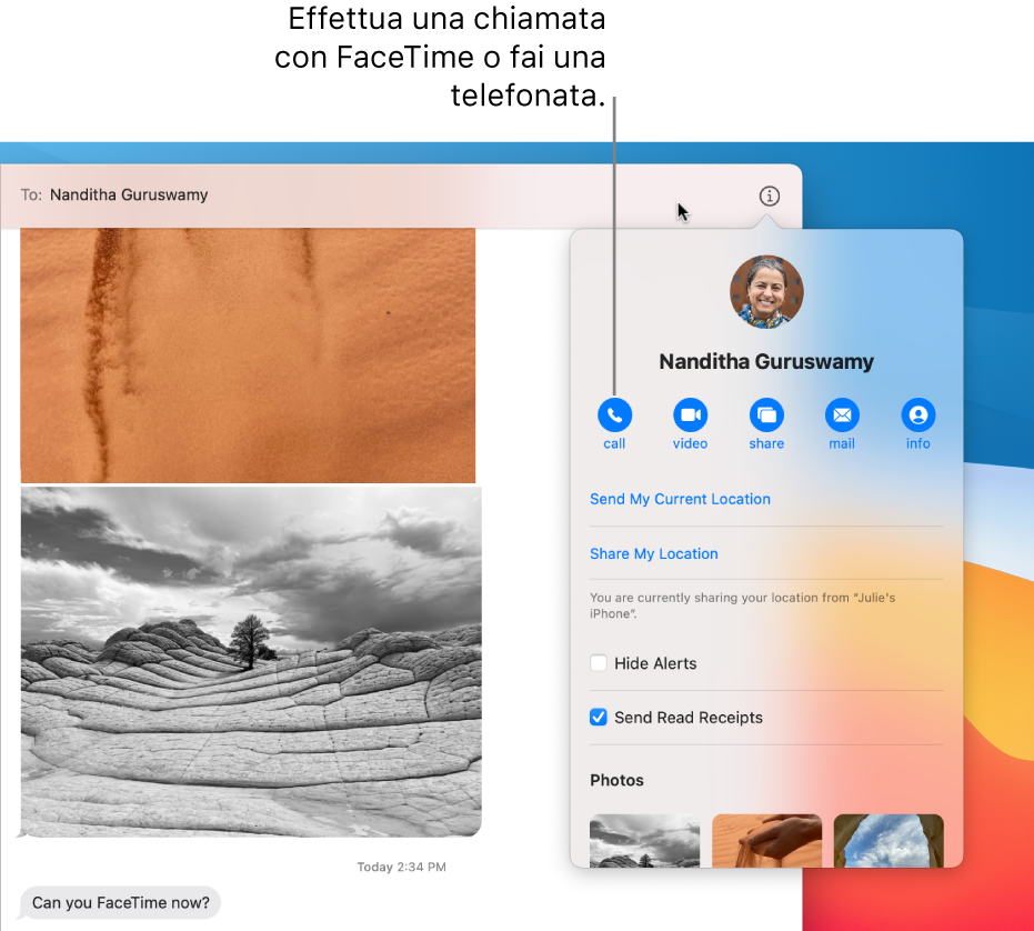 Vista Dettagli, che appare quando fai clic sul pulsante Dettagli in una conversazione. Usa il pulsante di chiamata sulla sinistra per avviare una chiamata audio con FaceTime oppure fai una telefonata.