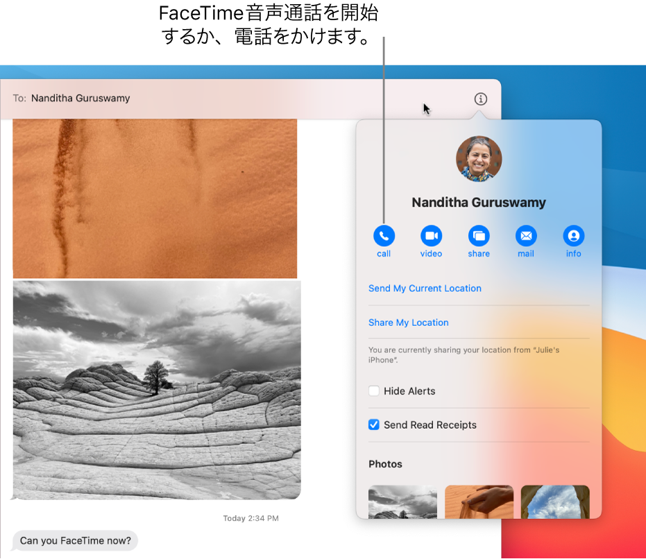 チャットで「詳細」ボタンをクリックすると表示される「詳細」表示。FaceTimeを使用してオーディオ通話を始めるか、電話をかける場合は、左側にある「オーディオ」ボタンを使用します。