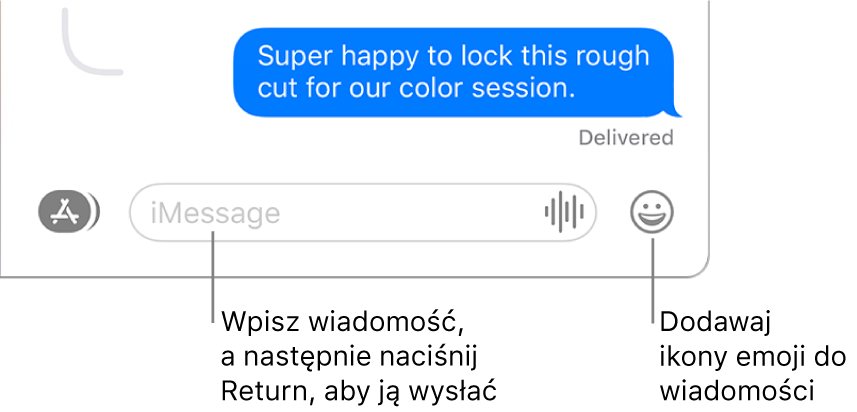 Rozmowa w oknie Wiadomości. Na dole okna widoczne jest pole tekstowe.