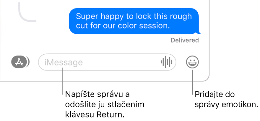 Konverzácia v okne Správy s textovým poľom v dolnej časti okna.
