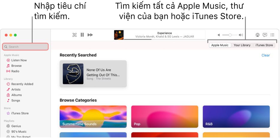 Cửa sổ Apple Music đang hiển thị trường tìm kiếm ở góc trên cùng bên trái, danh sách các danh mục ở giữa cửa sổ và Apple Music, Thư viện của bạn và iTunes Store có sẵn ở góc trên cùng bên phải. Nhập tiêu chí tìm kiếm vào trường tìm kiếm, sau đó chọn tìm kiếm tất cả Apple Music, chỉ thư viện của bạn hoặc iTunes Store.