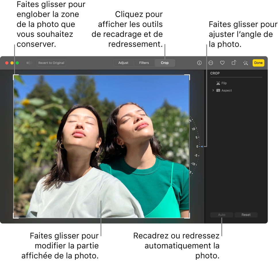 Une photo en mode édition, avec l’option Recadrer sélectionnée dans la barre d’outils, un rectangle de sélection autour de la photo, une roue d’inclinaison à droite de la photo et un bouton Auto. en bas à droite.