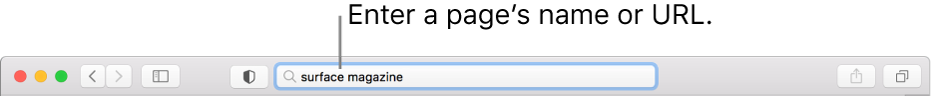 The Smart Search field, located in the middle of the Safari toolbar.