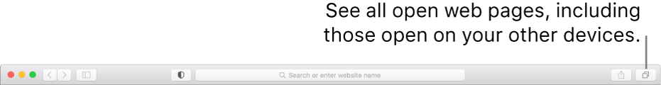 The toolbar, showing the “Show tab overview” button.