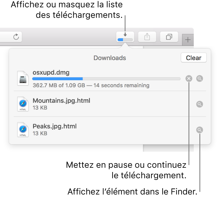 Le bouton Téléchargements de la barre d’outils, avec la liste de téléchargements sous celui-ci.