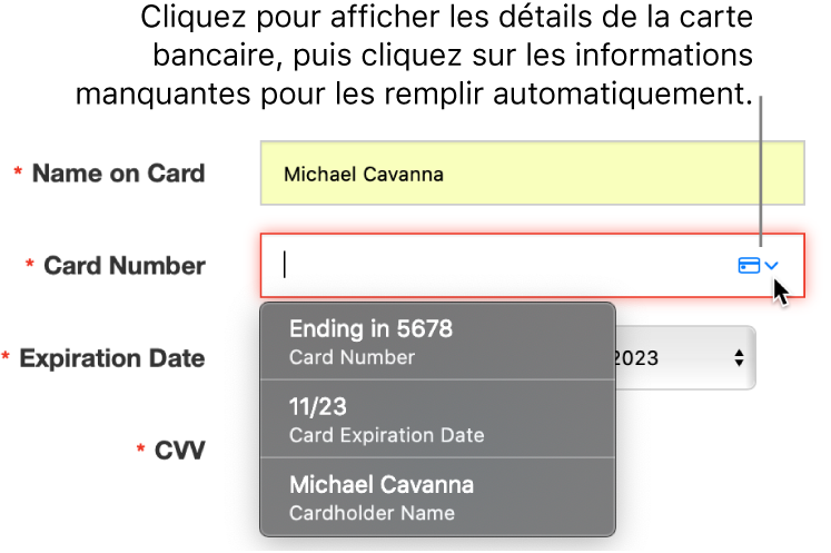 Informations de carte bancaire avec un détail manquant, avec le remplissage automatique affichant les choix disponibles.
