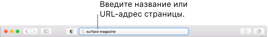 Поле смарт-поиска, расположенное по центру панели инструментов Safari.