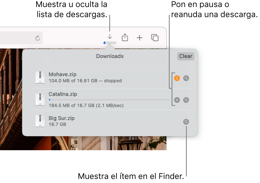 El botón de descargas en la barra de herramientas con la lista de descargas debajo de él.