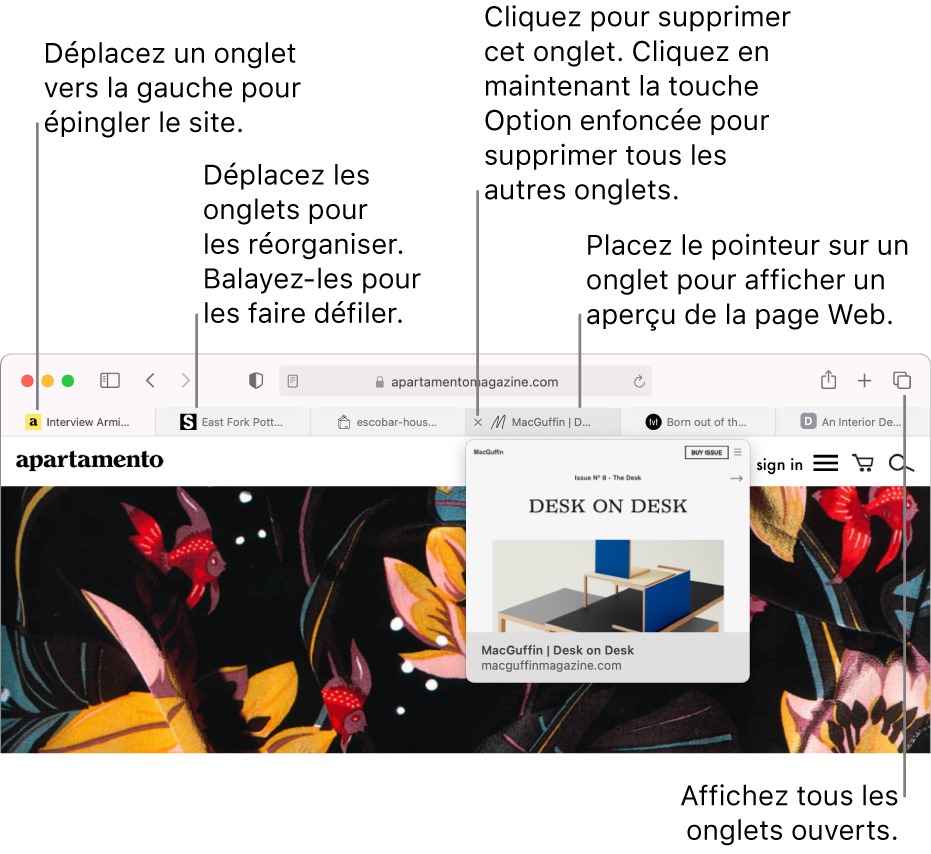 La fenêtre de Safari affiche plusieurs onglets ouverts, et le pointeur se trouve sur un onglet qui présente un aperçu de la page Web.