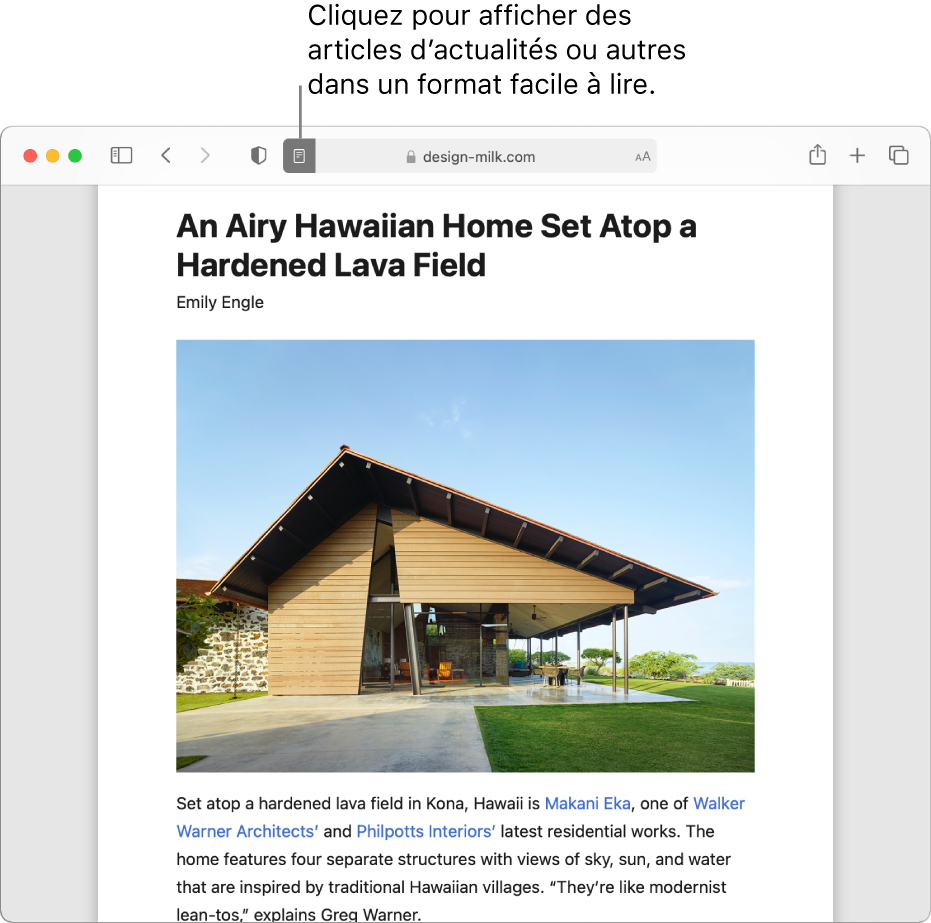 Un article affiché dans le lecteur, toutes les publicités et fonctions de navigation sont enlevées.