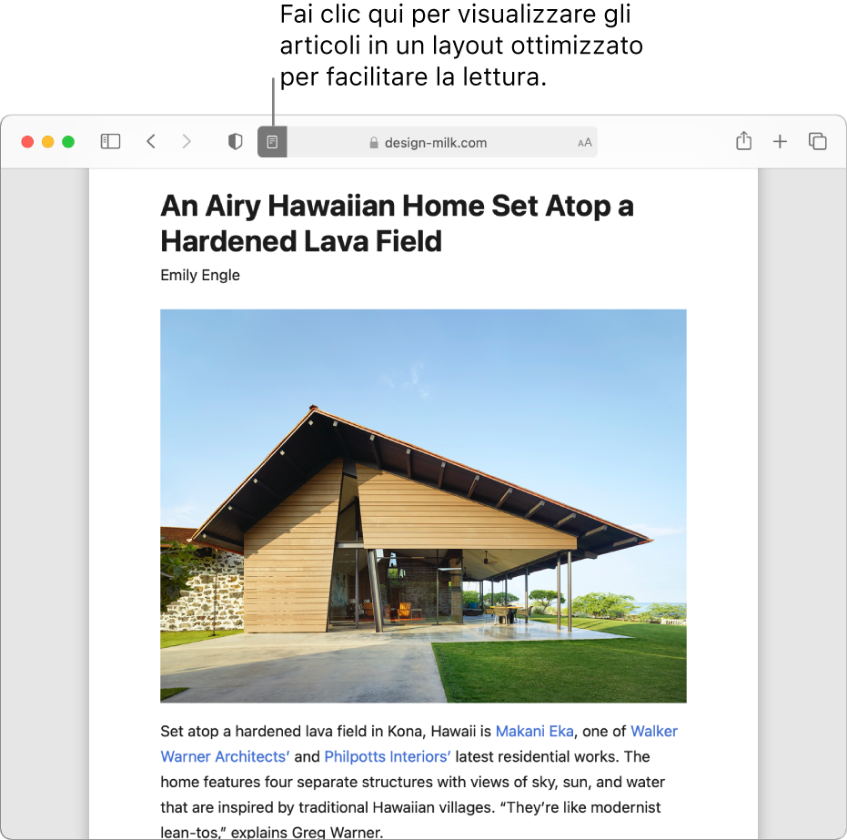 Un articolo in modalità Reader, senza pubblicità né elementi di navigazione.