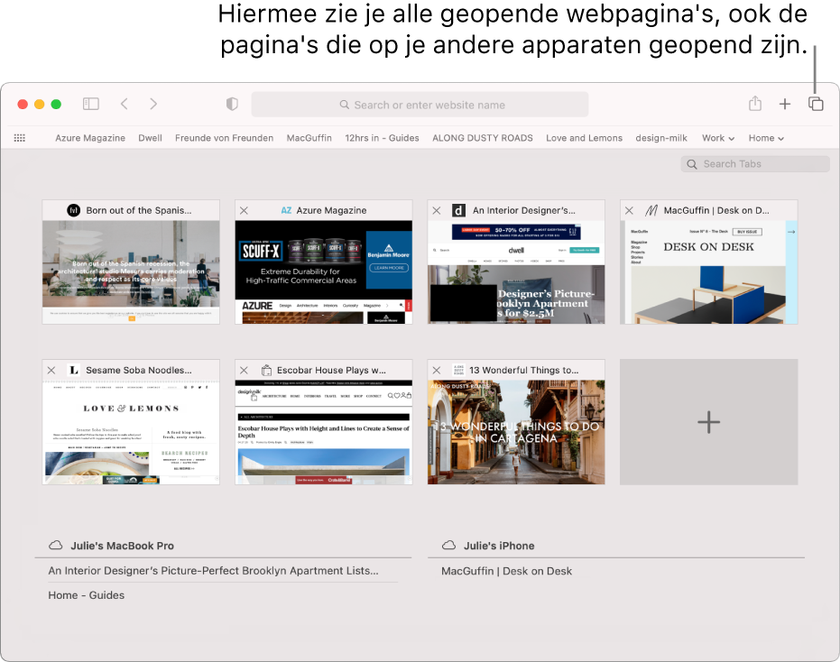 De knoppenbalk met de knop 'Toon tabbladoverzicht'.