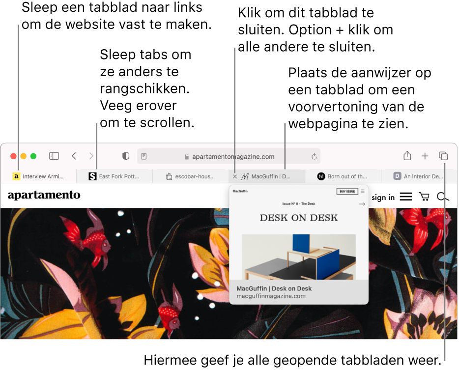 Het Safari-venster waarin verschillende tabbladen geopend zijn. De aanwijzer staat op een tab en er wordt een voorvertoning weergegeven van de webpagina op dat tabblad.