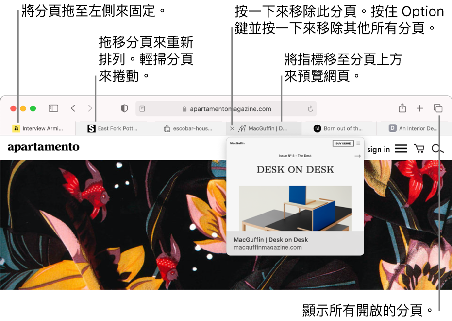 Safari 視窗包含幾個已開啟的分頁,指標位於顯示網頁預覽的分頁上方。