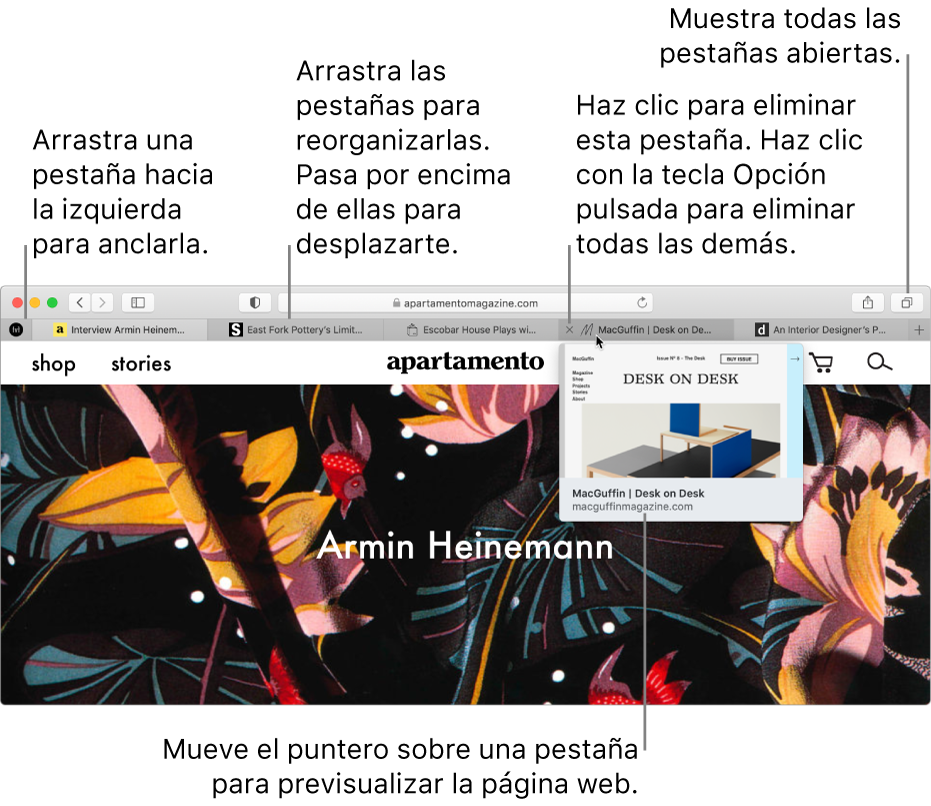 La ventana de Safari con varias pestañas abiertas, con el puntero sobre una pestaña que muestra una previsualización de la página web.