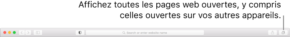 La barre d’outils avec le bouton « Afficher l’aperçu des onglets ».