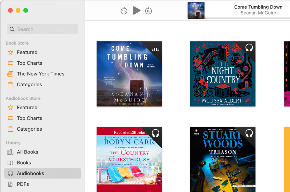Le lecteur de livre audio.