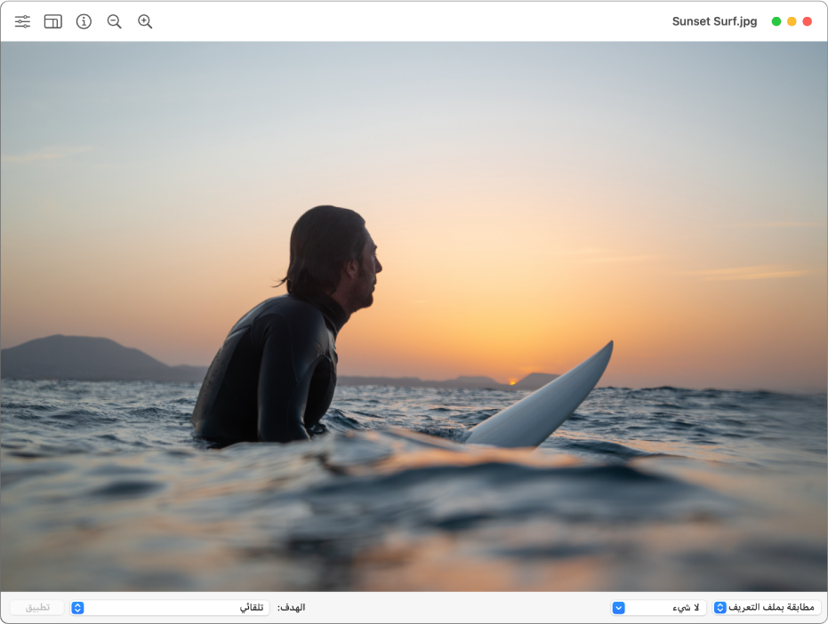 نافذة أداة ColorSync المساعدة تظهر صورة لرجل في مياه محيط أو خليج يجلس على لوح تزلج.