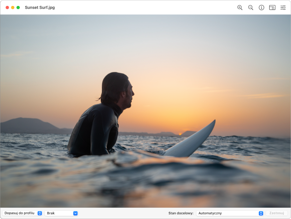 Okno Narzędzia ColorSync pokazuje obraz mężczyzny siedzącego na desce surfingowej w wodach oceanu lub zatoki.