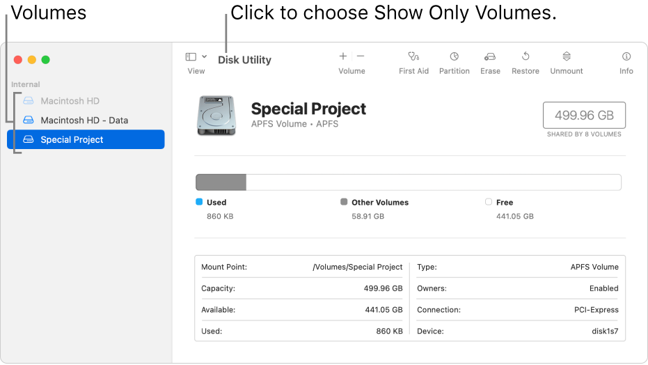 A Disk Utility window in show only volumes view.