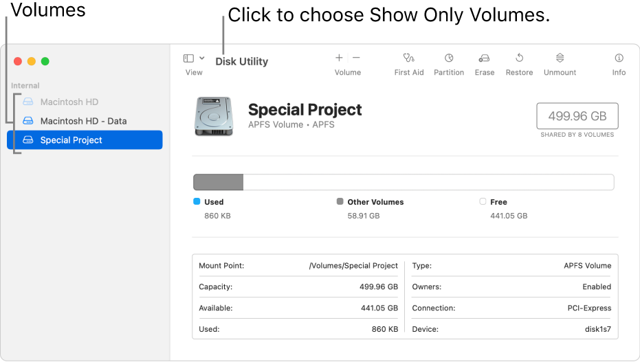 A Disk Utility window in show only volumes view.