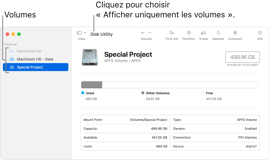 Une fenêtre Utilitaire de disque en présentation « Afficher uniquement les volumes ».