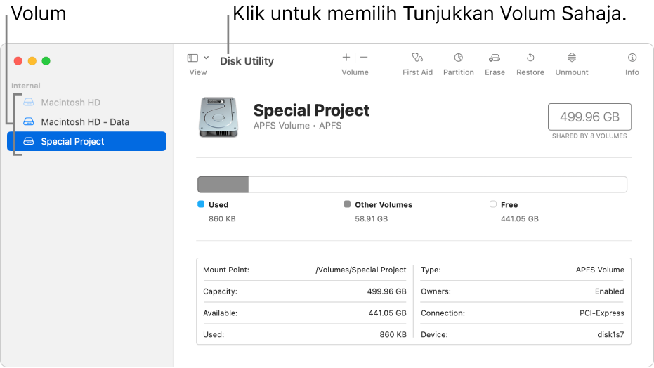Tetingkap Utiliti Cakera dalam paparan tunjukkan volum sahaja.