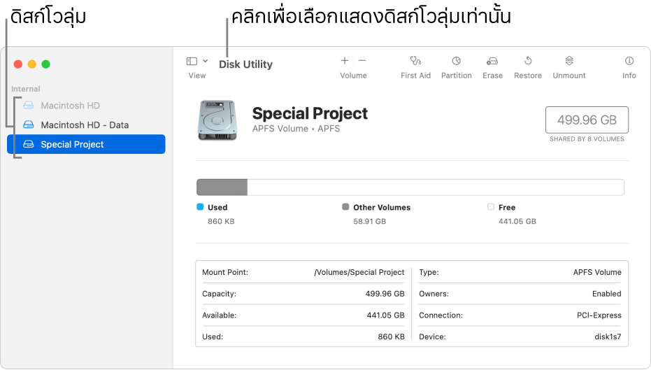 หน้าต่างยูทิลิตี้ดิสก์ในมุมมองแสดงดิสก์โวลุ่มเท่านั้น