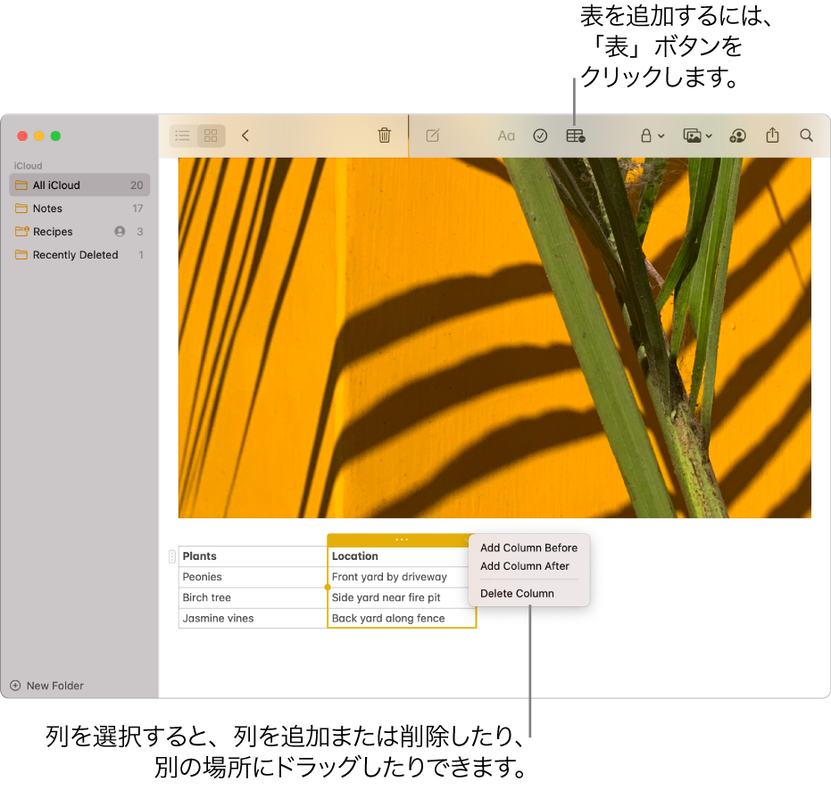 「メモ」ウインドウ。「表」ボタンが表示されています。クリックすると表が追加されます。メモの内容にある表の列が選択されていて、列の追加または削除を行ったり、列を新しい場所にドラッグしたりできます。
