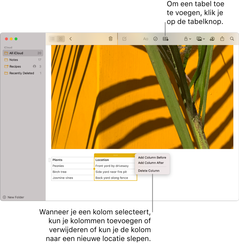 Het Notities-venster met de tabelknop. Klik daarop om een tabel toe te voegen. In de notitie wordt een tabelkolom geselecteerd zodat je kolommen kunt toevoegen of verwijderen of de kolom naar een nieuwe locatie kunt slepen.