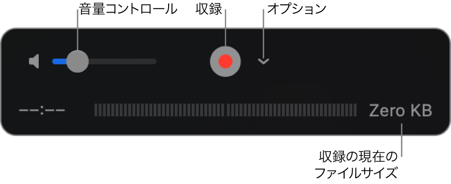 音量コントロール、収録ボタン、および「オプション」ポップアップメニューを含む収録コントロール。