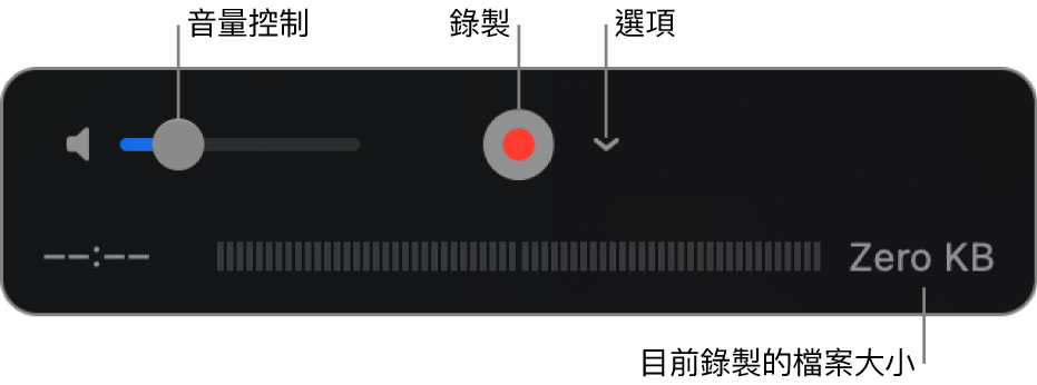 錄製控制項目,包含音量控制、「錄製」按鈕和「選項」彈出式選單。