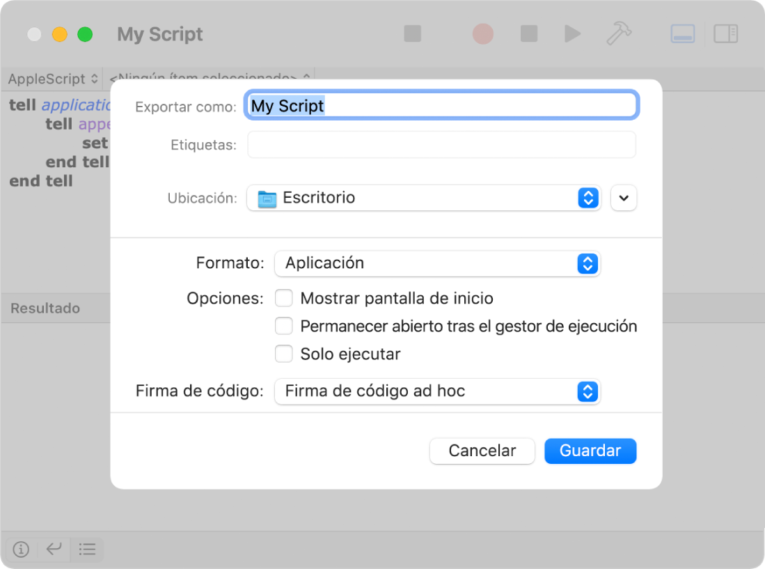 El cuadro de diálogo Exportar, con el menú desplegable Formato, el valor Aplicación seleccionado y las opciones que puedes elegir al guardar el script.