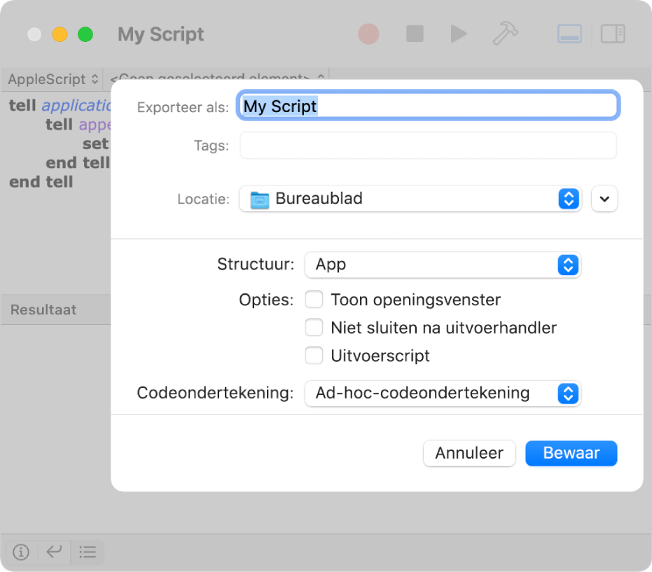 Het exportvenster met het venstermenu voor de bestandsstructuur, met 'App' geselecteerd en de opties die je kunt instellen wanneer je het script bewaart.