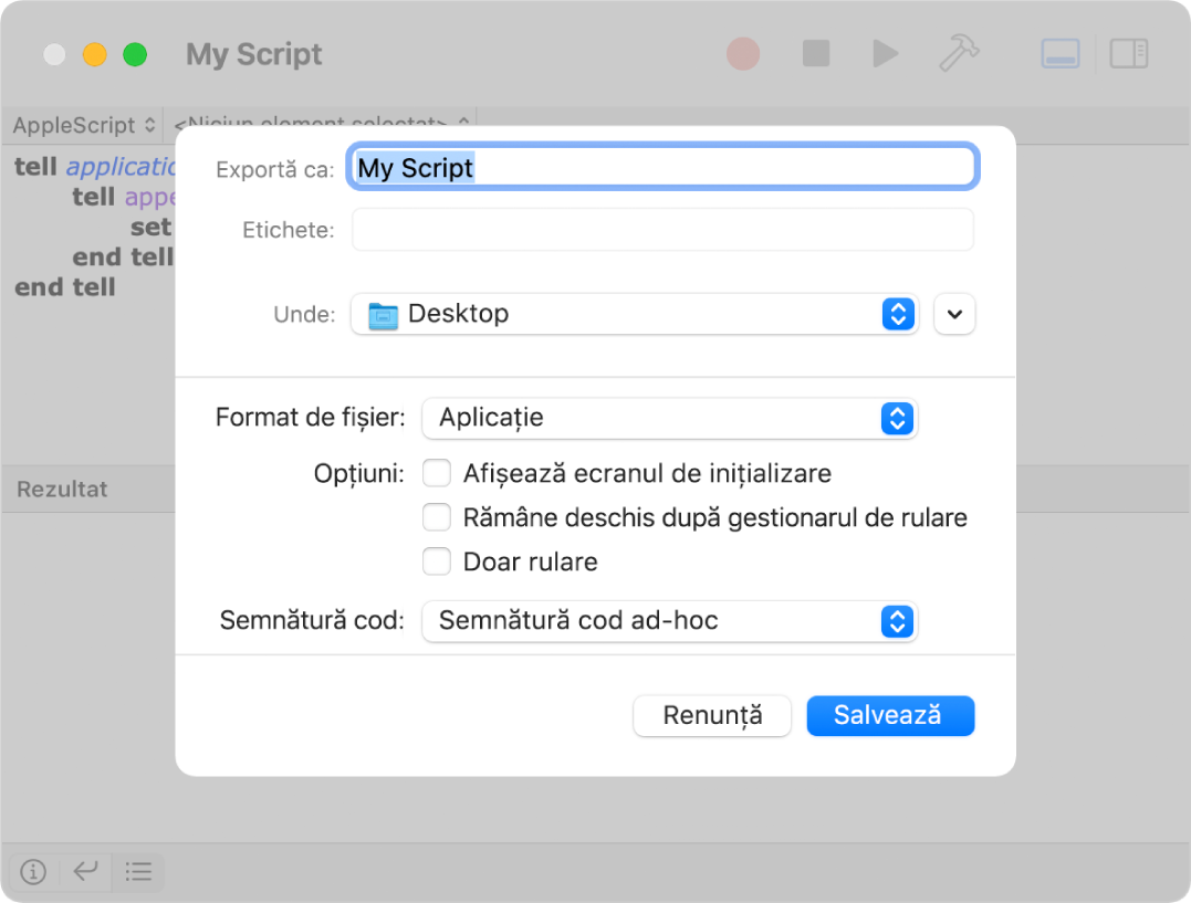 Dialogul Exportă prezentând meniul pop-up Format de fișier cu opțiunea Aplicație selectată și opțiunile pe care le puteți alege la salvarea scriptului.