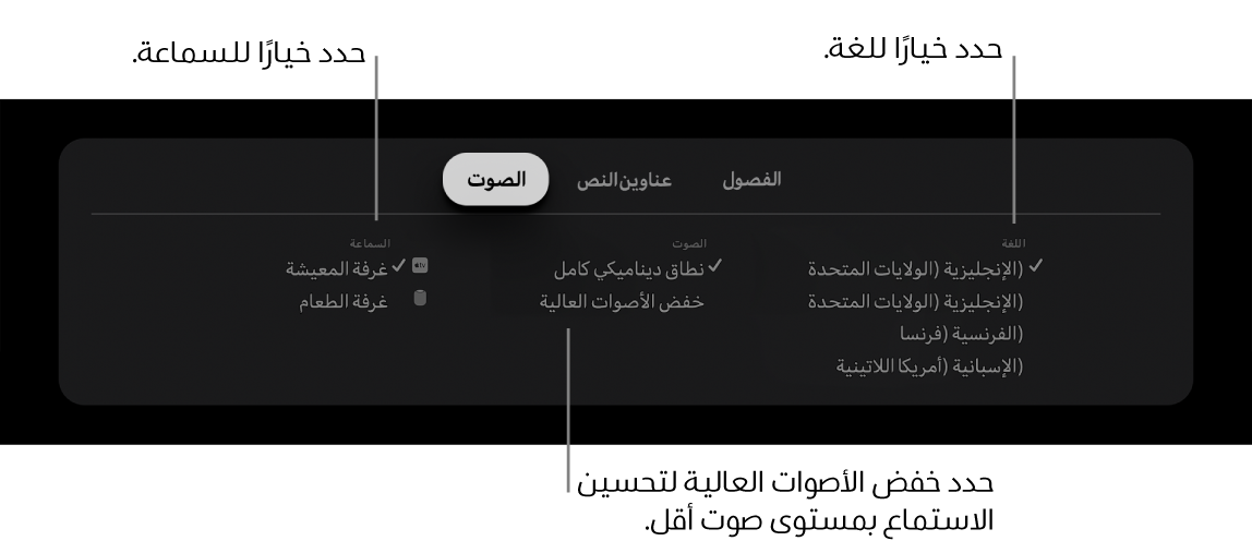 قائمة الصوت أثناء التشغيل