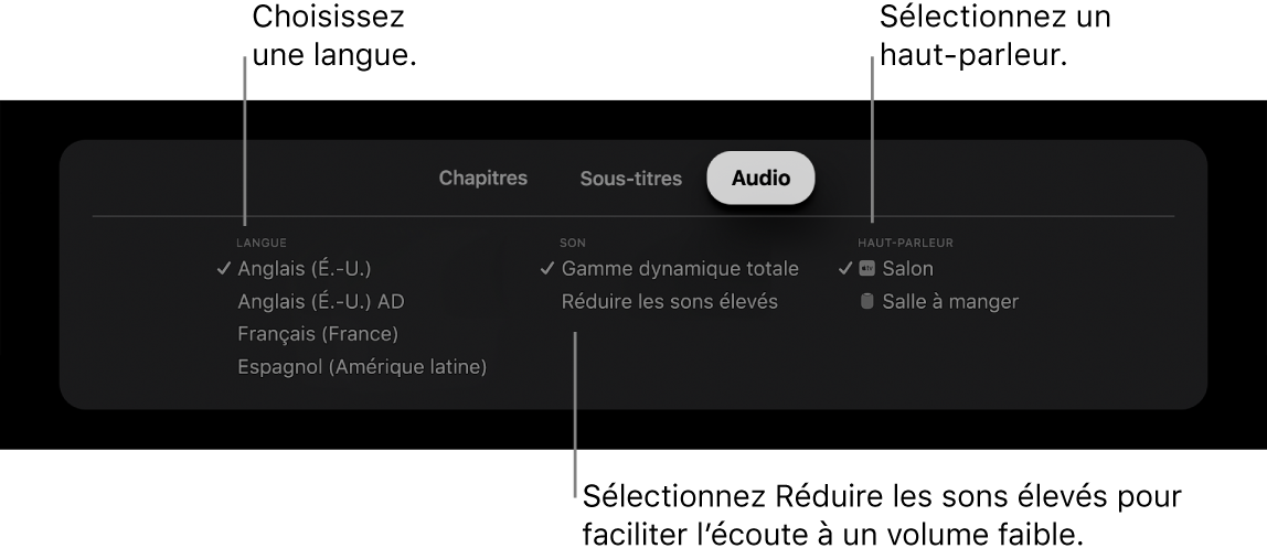 Écrans de lecture affichant le panneau audio et l’option Réduire les sons élevé sélectionnée