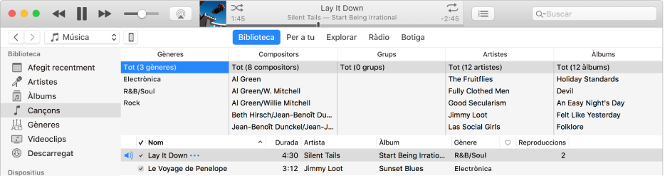 Finestra principal de l’iTunes: El navegador de columnes apareix a la dreta de la barra d’eines i a sobre de la llista de cançons.