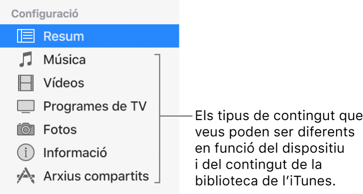 Opció Resum seleccionada a la barra lateral de l’esquerra. Els tipus de contingut que es mostren poden variar en funció del dispositiu i del contingut de la biblioteca de l’iTunes.